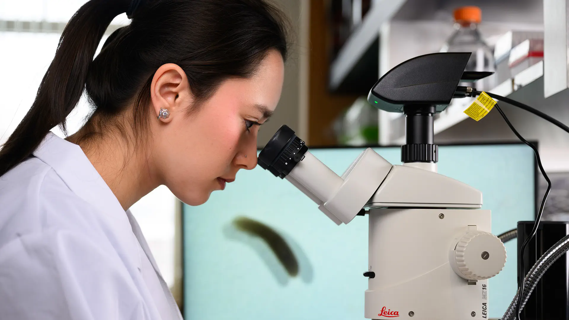 magnified image showing shapes in cyan and gold