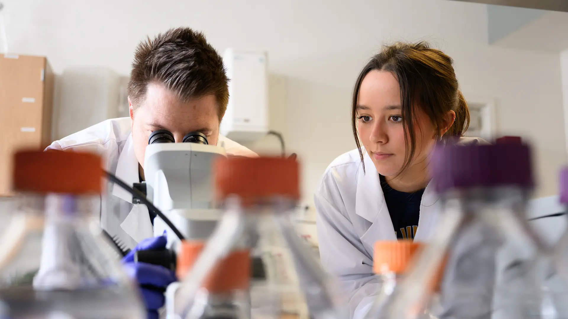 Sachiko Price and Dr. Christopher Arnold working with planaria.