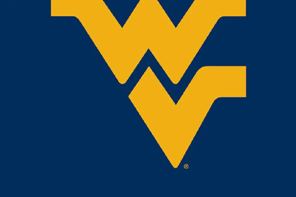 Gold flying WV on a blue background