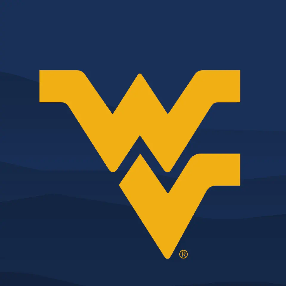 Flying WV 