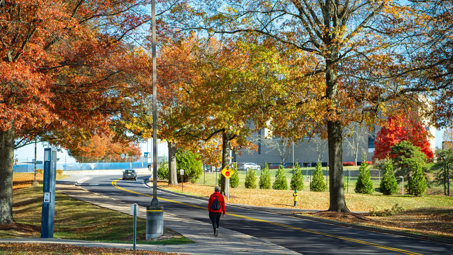 Fall scene from Evansdale area of campus