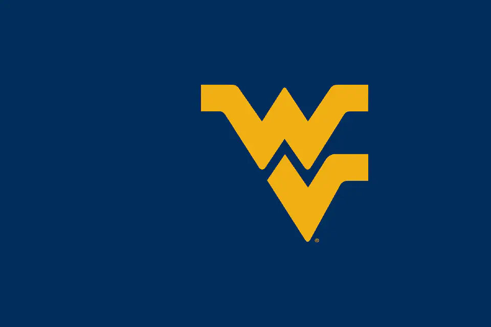 Gold flying WV on blue background