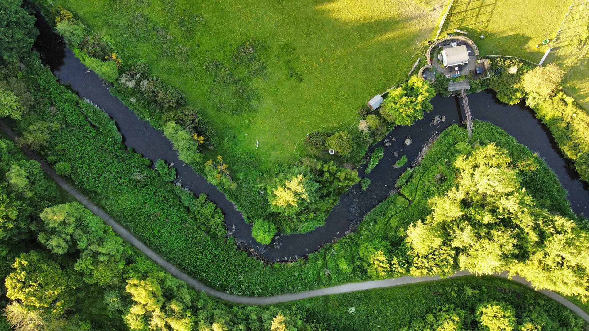 Aerial view of lush green landscape with a river winding through it
