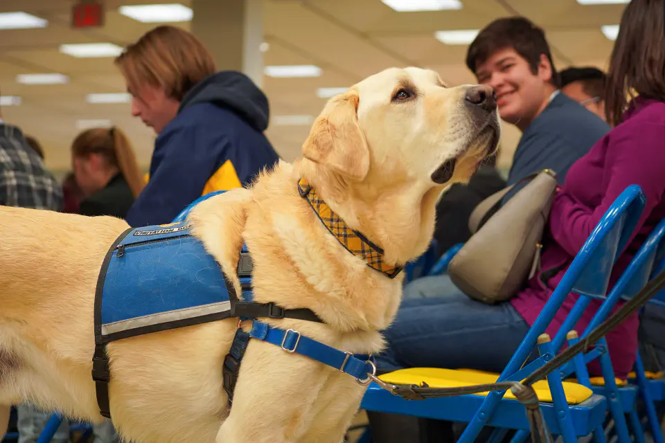 Students sit excitedly in a lecture hall.