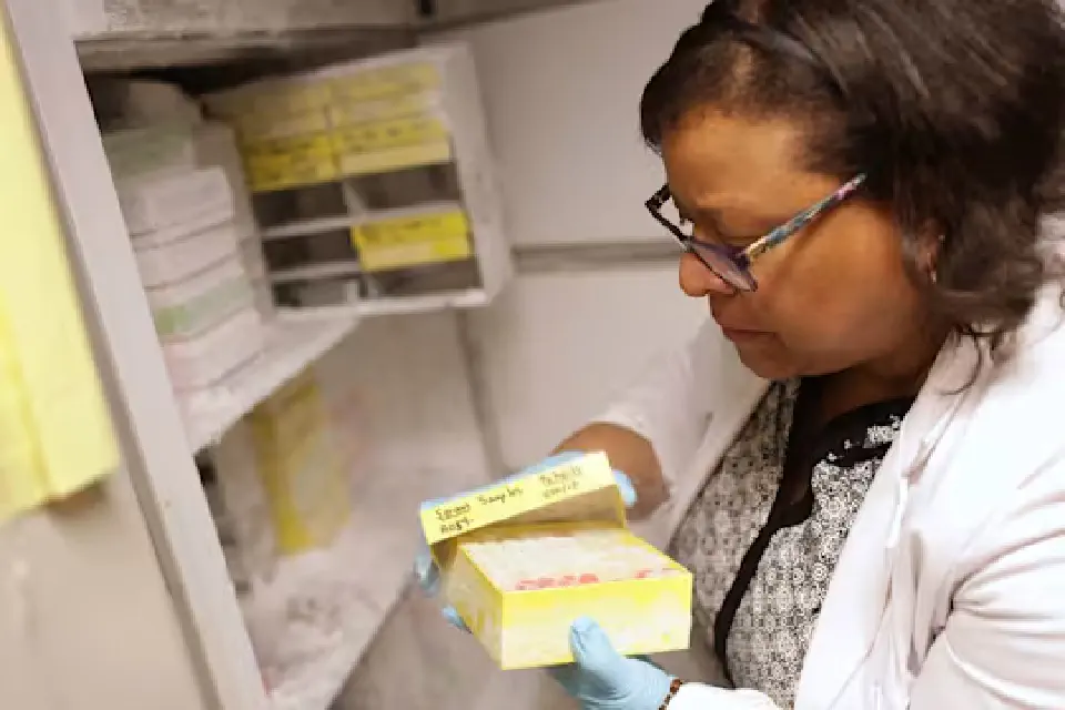 Professor Candice Brown works in her lab