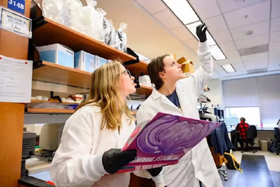 Two neuroscience student researchers looking at a slide. 