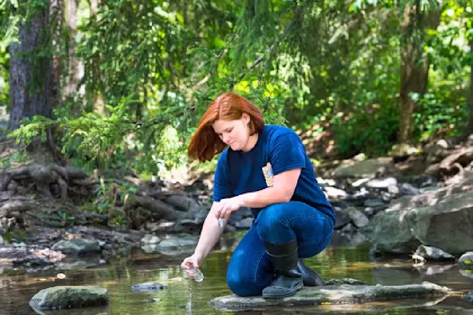 Taking water sample from stream
