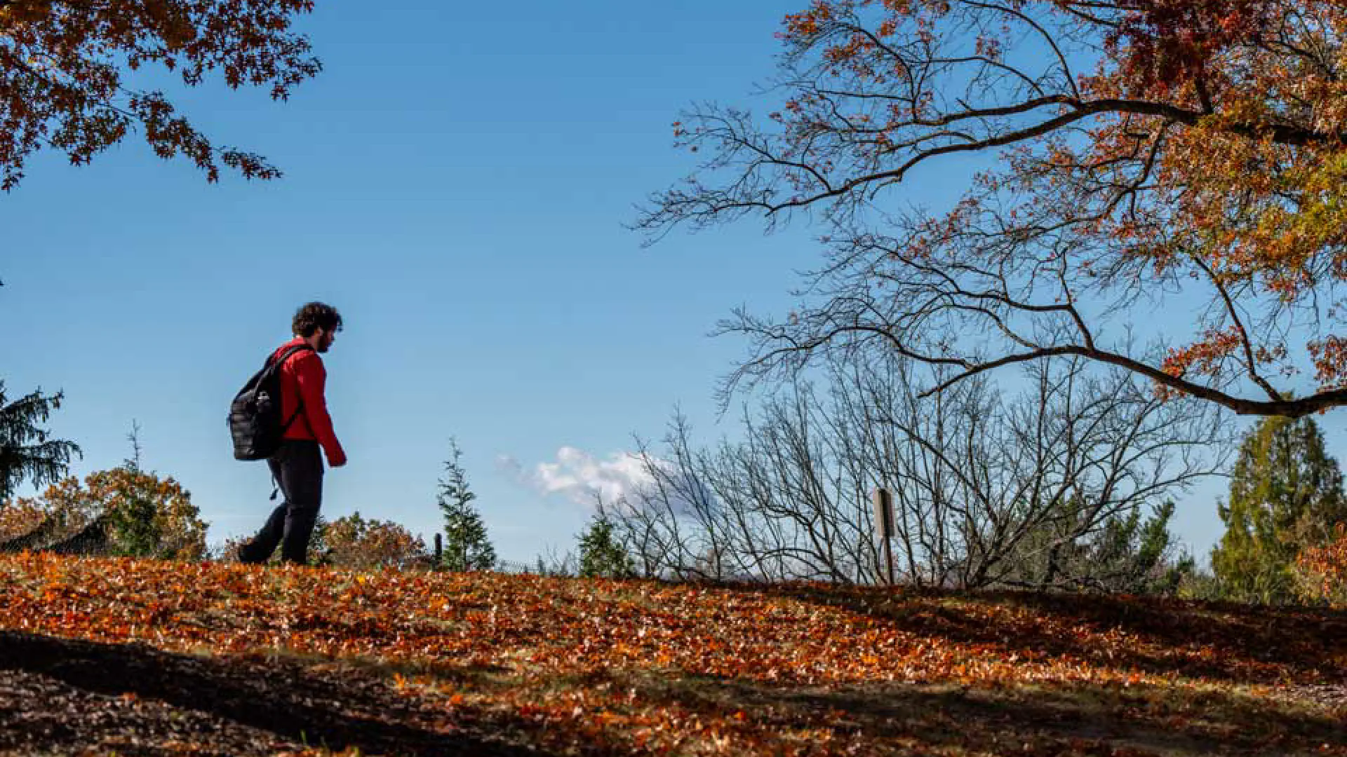 Person walking across campus in autumn
