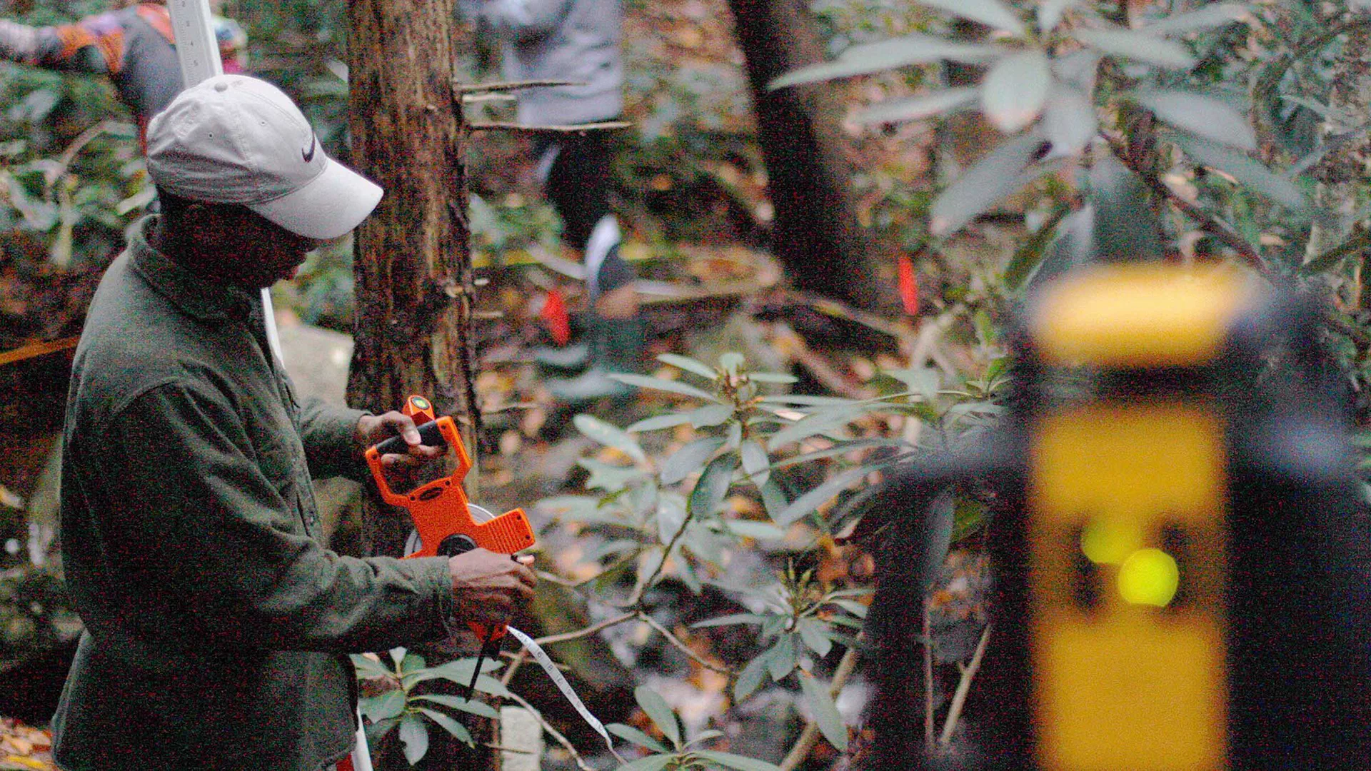 Person taking measurements of a wooded area