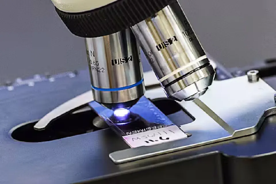 Slide on a microscope