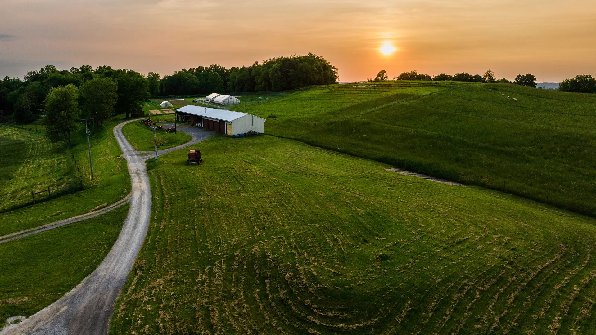 Organic Farm at sunrise