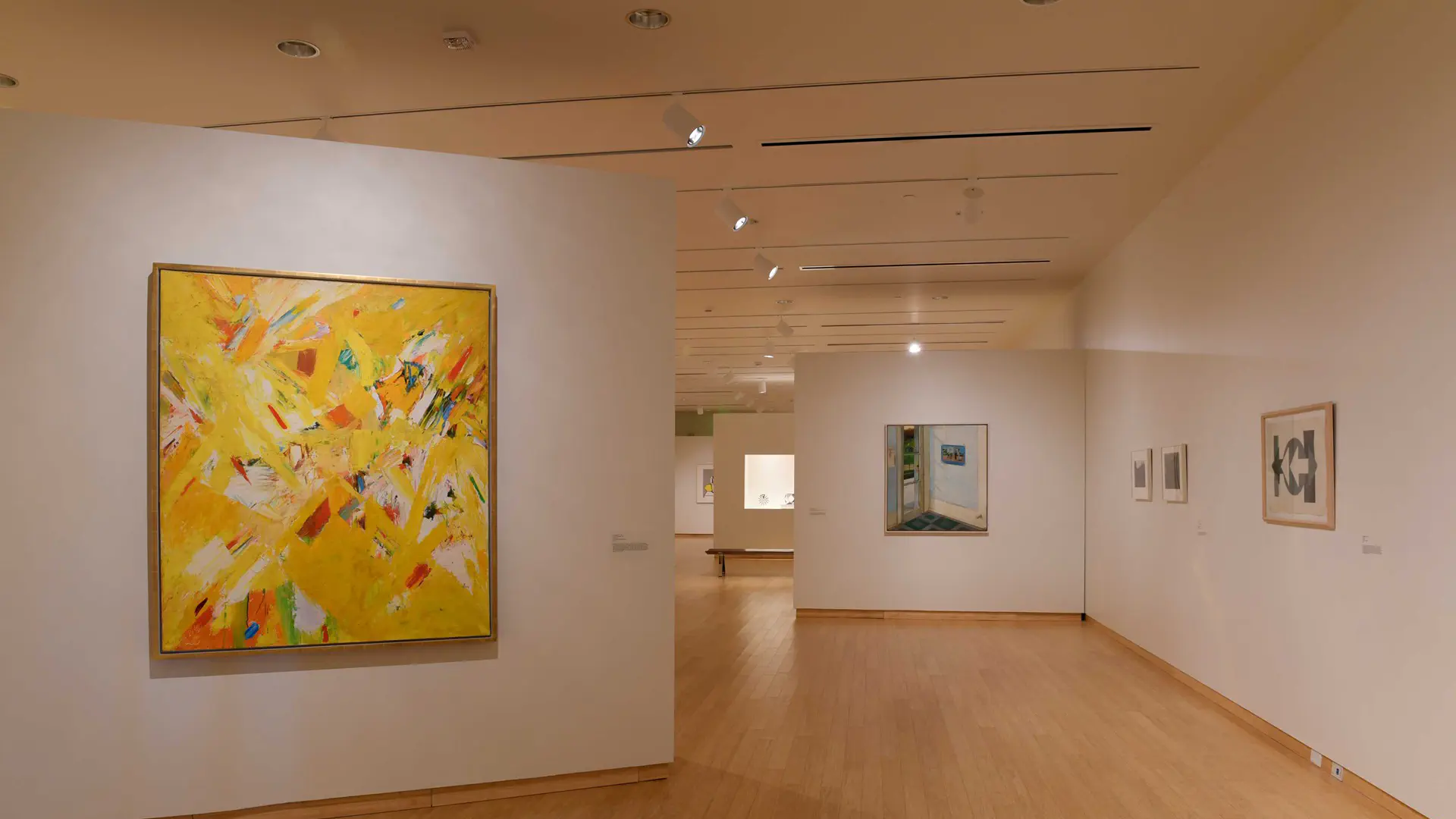 Gallery at the Art Museum of WVU