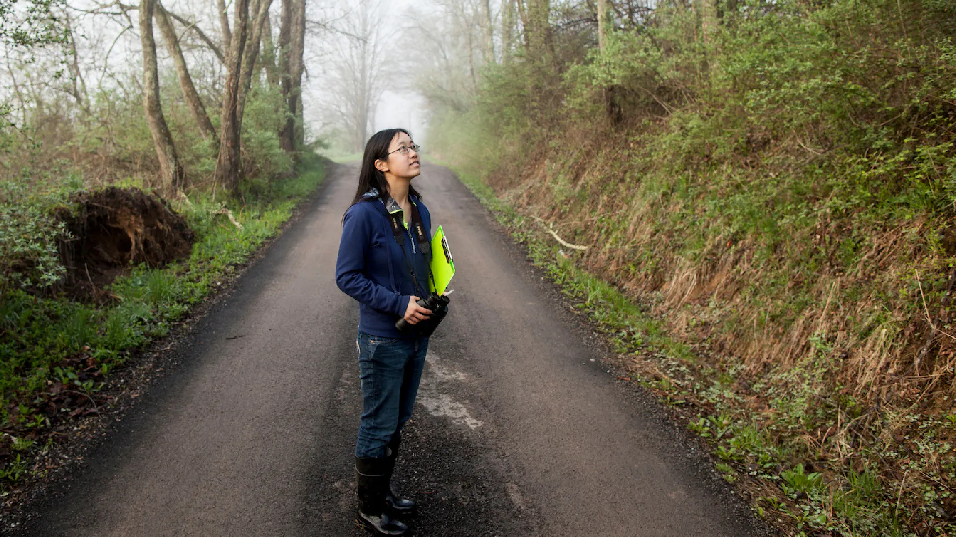 Person looking toward a forest