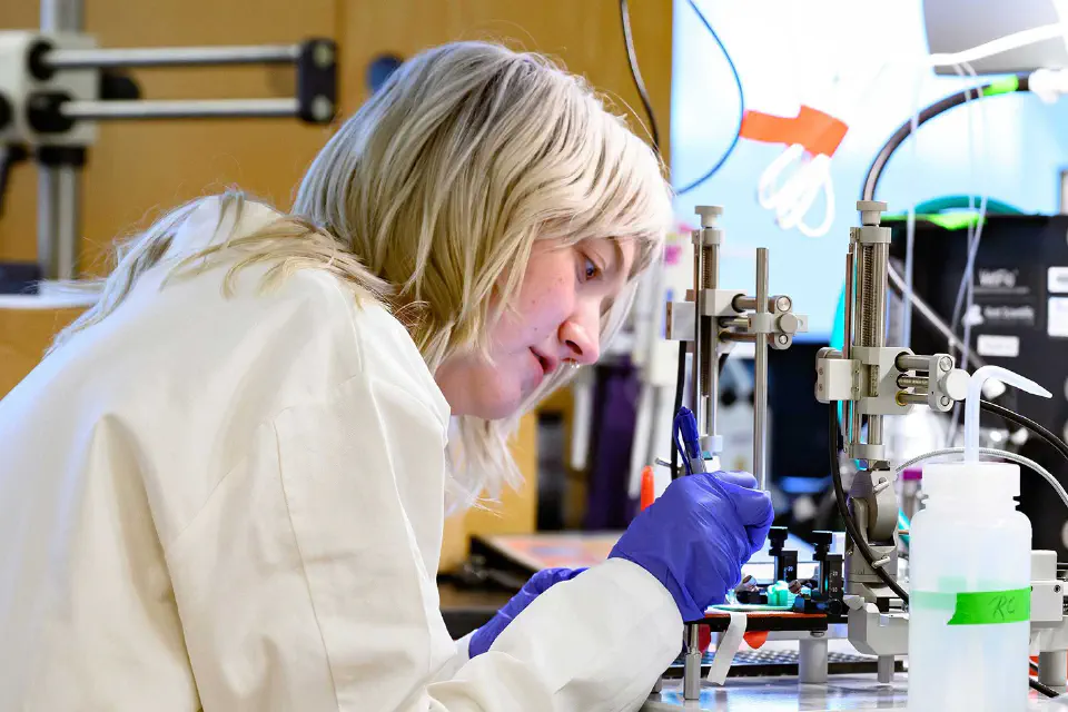 Person looking through documents in the Downtown Campus Library.